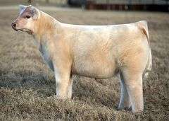 QUEEN X THAT'S RIGHT EMBRYOS