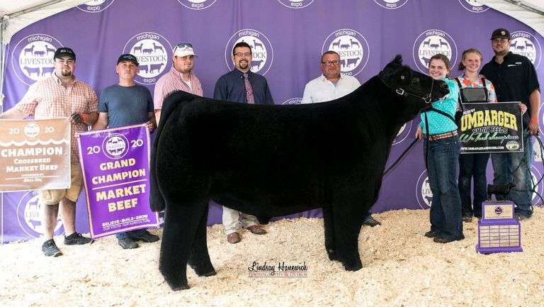 HIA X SHAKIRA EMBRYOS
