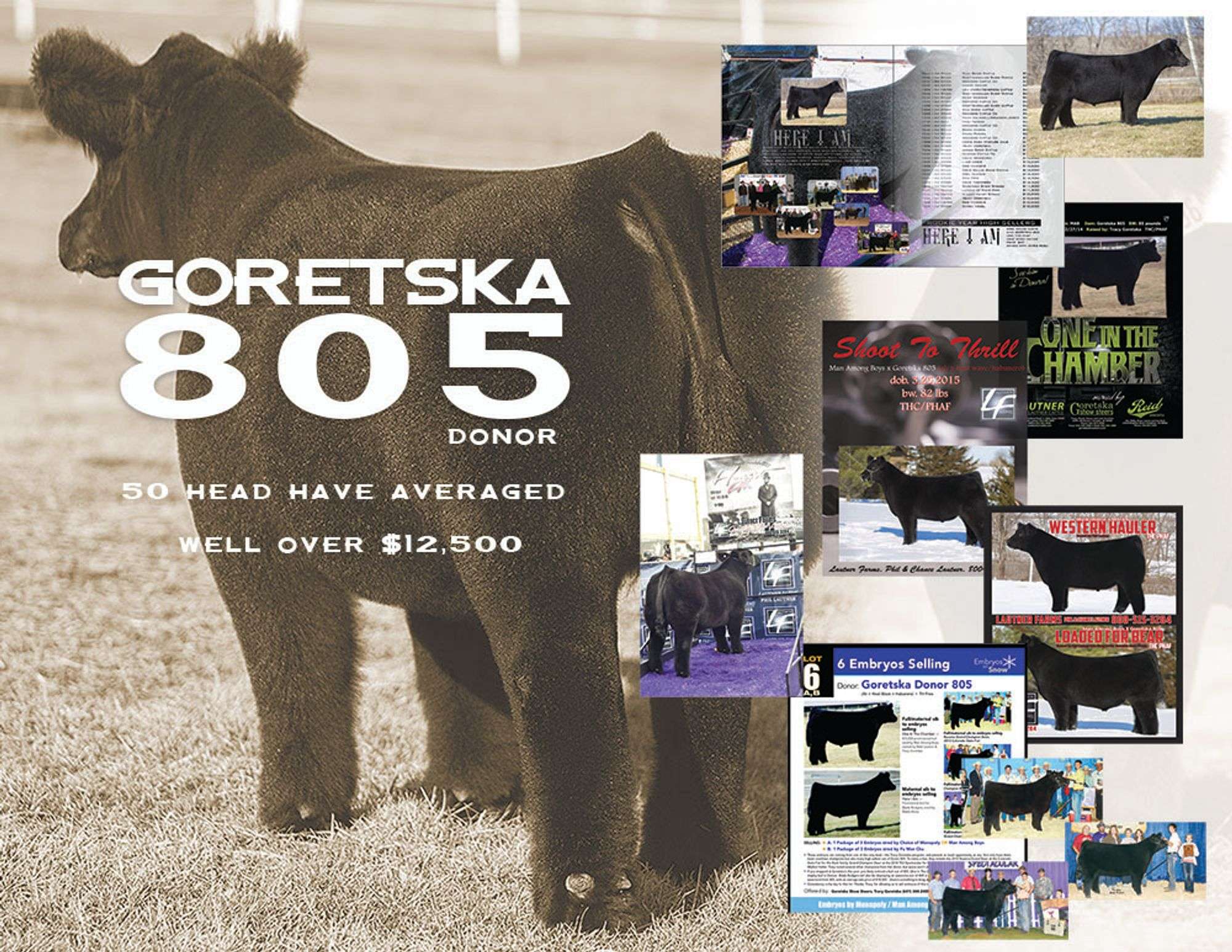 12/15/22 GORETSKA DONOR 805 GENETICS - SteerBidder