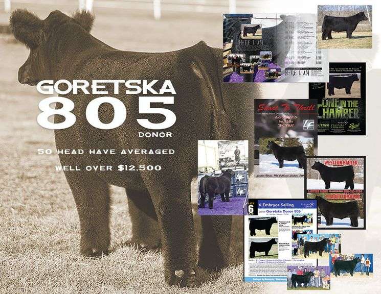 IGWT X 805 CLONE EMBRYOS