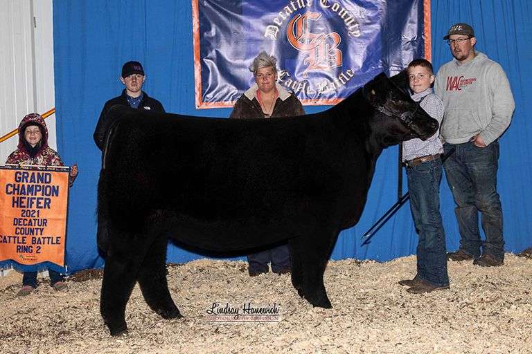 TAG 39  HEIFER