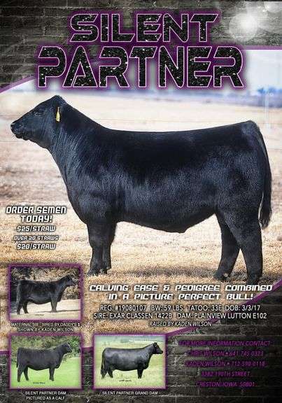 SILENT PARTNER SEMEN