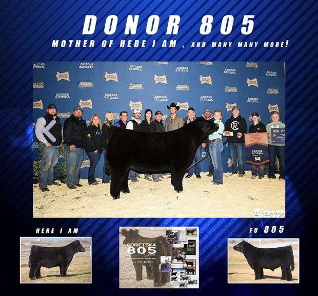 KING KOBRA X 805 CLONE EMBRYOS