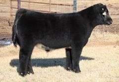 2011 X HEAT WAVE EMBRYOS