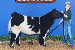 2011 X HEAT WAVE EMBRYOS