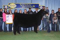 TAG 39  HEIFER