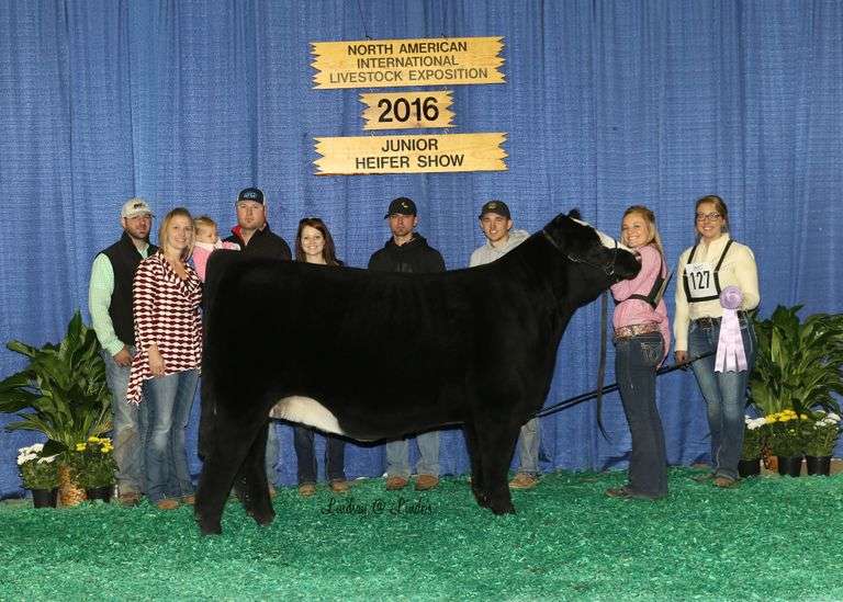 BEAR MOUNTAIN X MILEY EMBRYOS