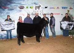 CHOSEN 1 X ADALINE EMBRYOS