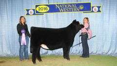 BEAR MOUNTAIN X MILEY EMBRYOS