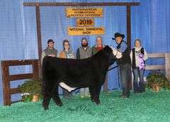 BEAR MOUNTAIN X MILEY EMBRYOS
