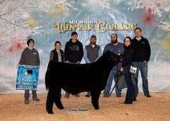 BEAR MOUNTAIN X MILEY EMBRYOS