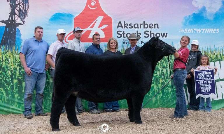 HGTA X ALLIE A EMBRYOS
