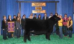 HIA X DAISEY EMBRYOS