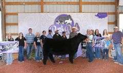 HIA X DAISEY EMBRYOS
