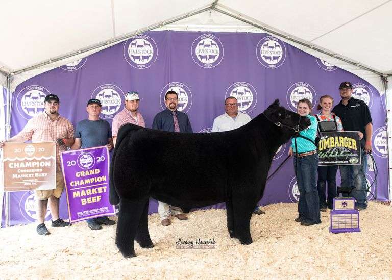 SHAKIRA X HIA EMBRYOS