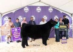 SHAKIRA X HIA EMBRYOS