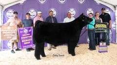SHAKIRA X HIA EMBRYOS