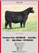 TAG 108 MAINETAINER / LOW CHI HEIFER