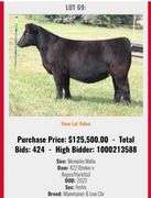 TAG 108 MAINETAINER / LOW CHI HEIFER