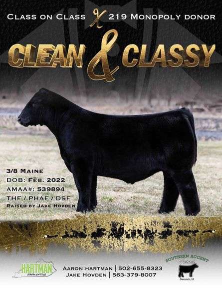 CLEAN & CLASSY SEMEN B
