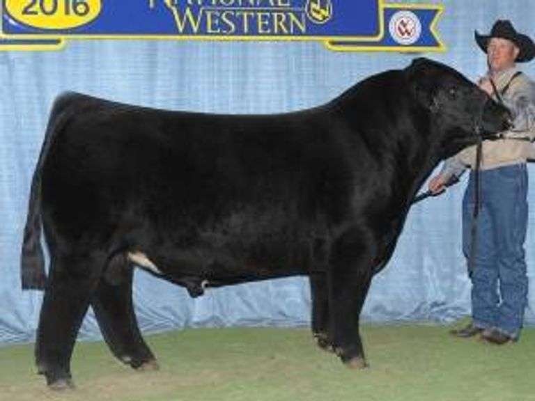 GARTH SEMEN