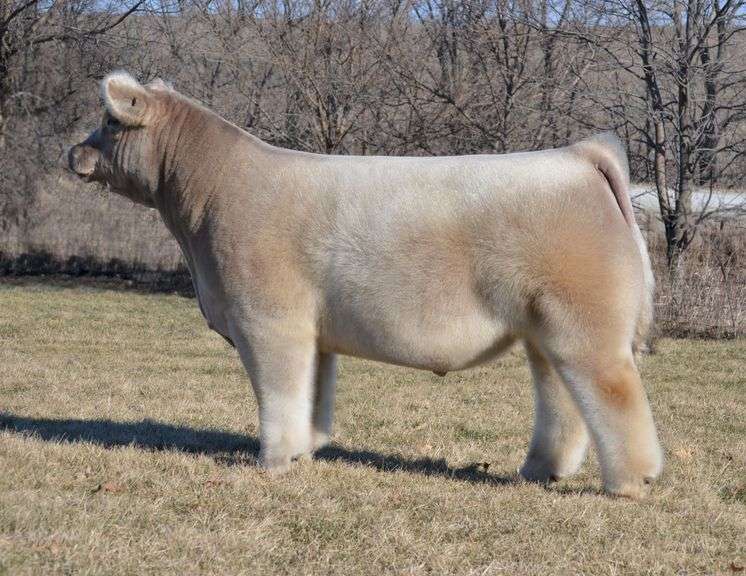 HUFF N PUFF SEMEN B