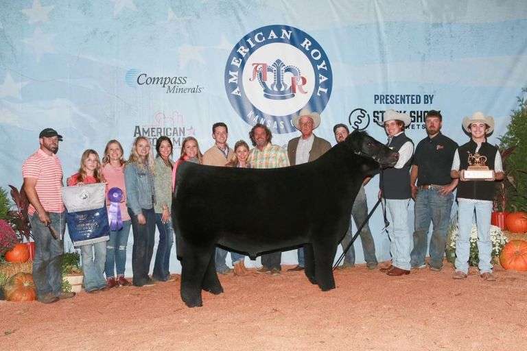 HIA X 1344 EMBRYOS