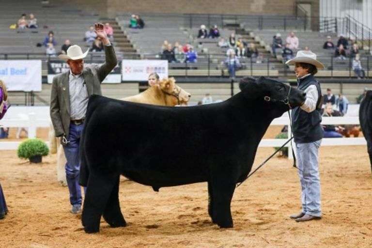 GETCHA SOME X 1344 EMBRYOS