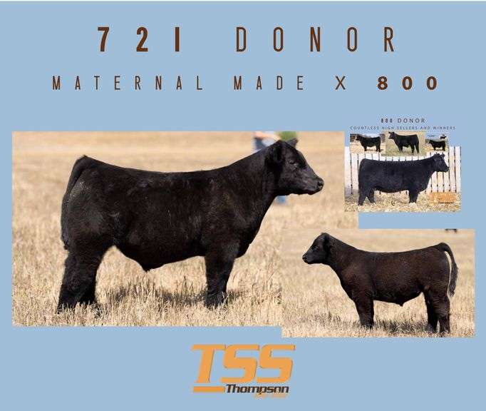 DONOR 721 X WID (MALE) EMBRYOS