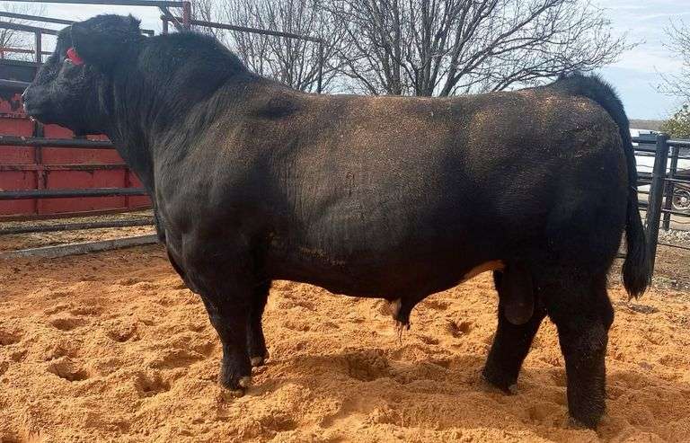 GARTH SEMEN
