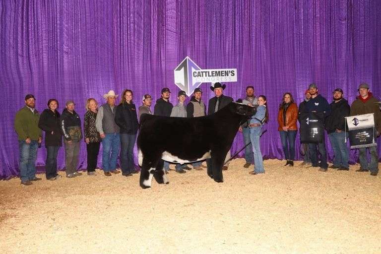 HERE I AM X 3W EMBRYOS