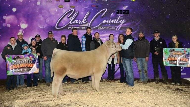 LOT 1 X IGWT EMBRYOS
