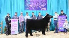 LOT 1 X MEMPHIS MAFIA EMBRYOS