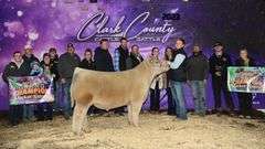 LOT 1 X IGWT EMBRYOS
