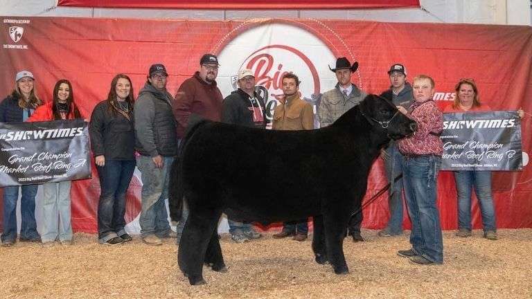 DONOR 8101 X HIA PREGNANT RECIP