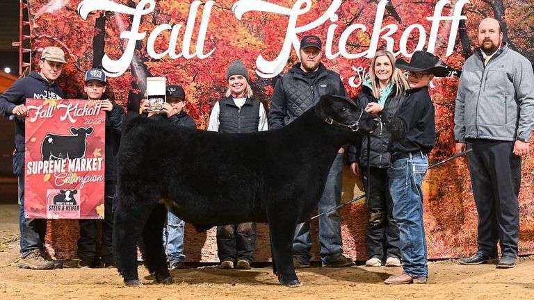 6023 X HIA PREGNANT RECIP