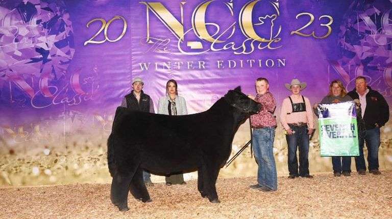 DONOR 8101 X HIA PREGNANT RECIP