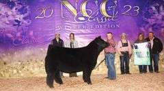 DONOR 8101 X HIA PREGNANT RECIP