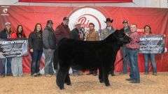 DONOR 8101 X HIA PREGNANT RECIP