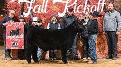 6023 X HIA PREGNANT RECIP