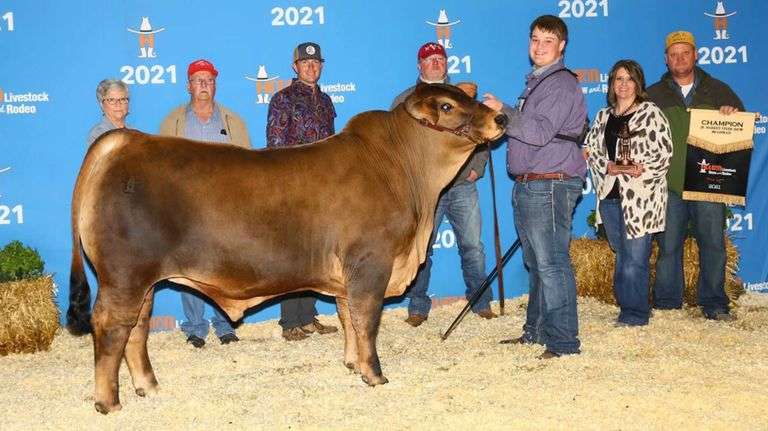 TAG 3 FROZEN PABLO BROTHERS EMBRYOS