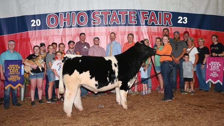 DIVA X HIA EMBRYOS