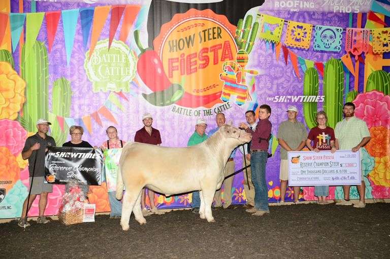 004 x IGWT EMBRYOS