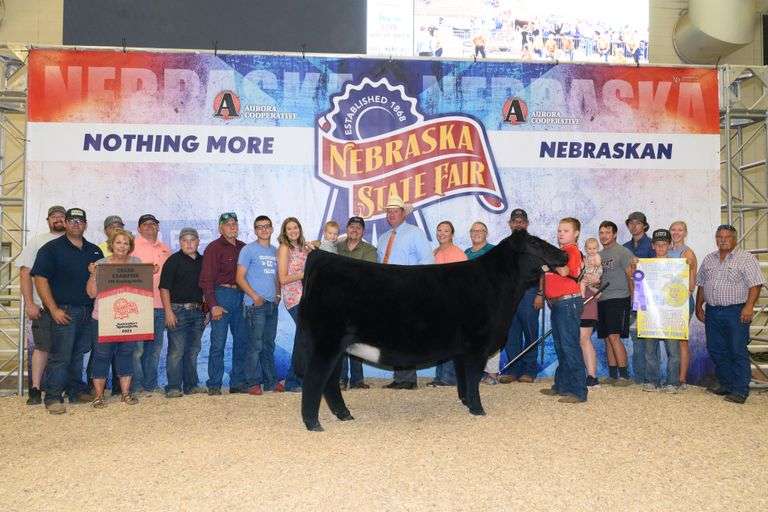 ANGUS X CHANGE IS COMING EMBRYOS