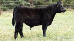 TAG 690 STEER