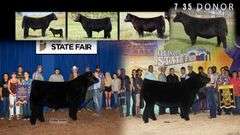 TAG 59 STEER