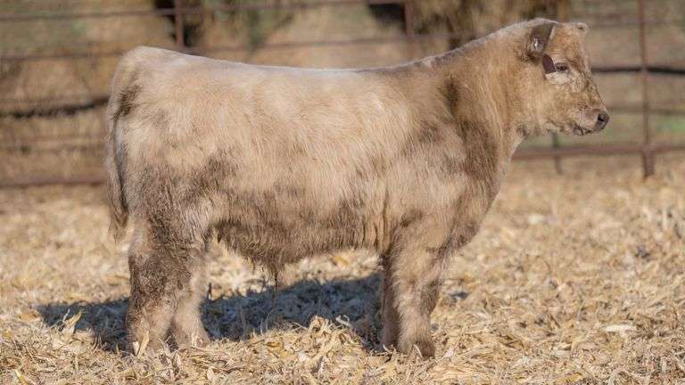 TAG 837 STEER