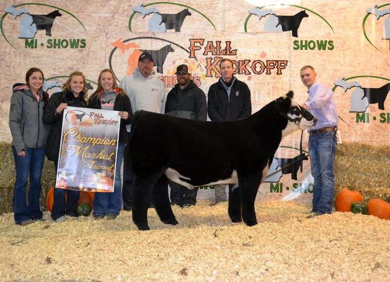 REBA X WYNNE IN DOUBT 15.14% CHIANINA (ACA REG. #H369739) EMBRYOS
