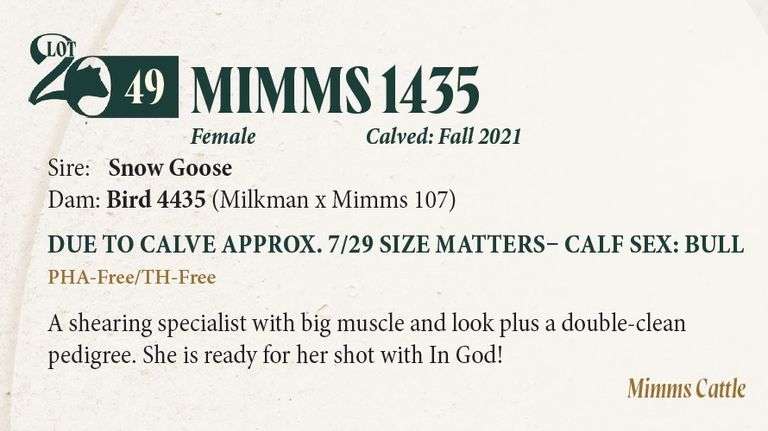 MIMMS 1435 COW