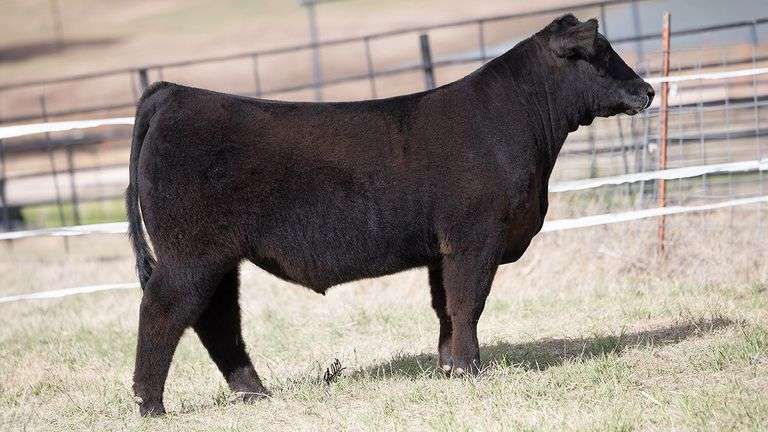 TAG 472 STEER